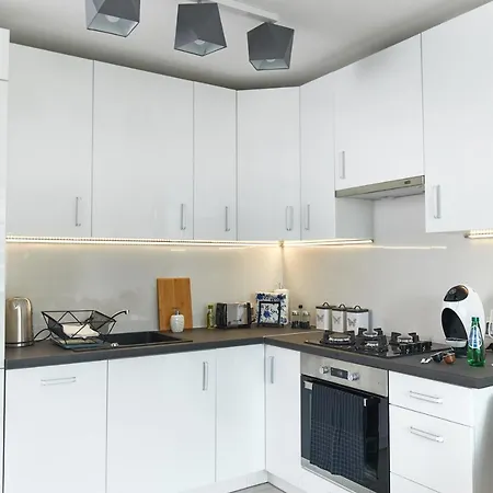 Srebrna Central Apartment