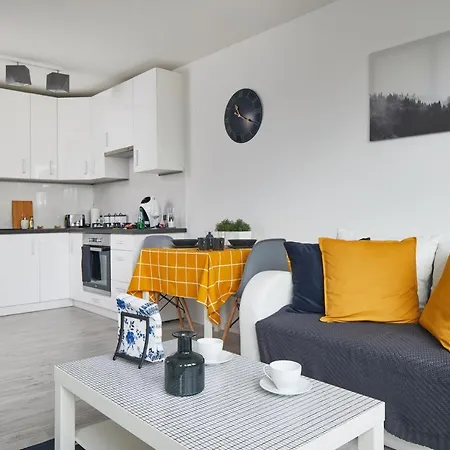 Srebrna Central Apartment *
